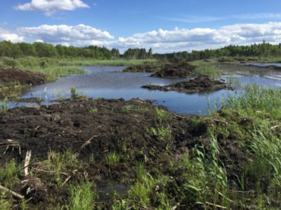 Купить торф Краснозаводск